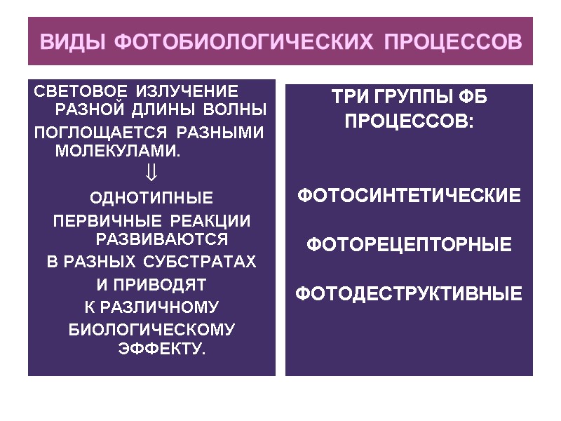 ВИДЫ ФОТОБИОЛОГИЧЕСКИХ ПРОЦЕССОВ СВЕТОВОЕ ИЗЛУЧЕНИЕ РАЗНОЙ ДЛИНЫ ВОЛНЫ ПОГЛОЩАЕТСЯ РАЗНЫМИ МОЛЕКУЛАМИ.   ОДНОТИПНЫЕ